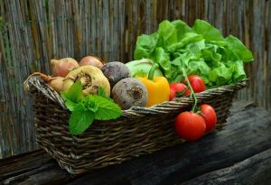 Specialty crops are harvested and kept in a basket; agriculture